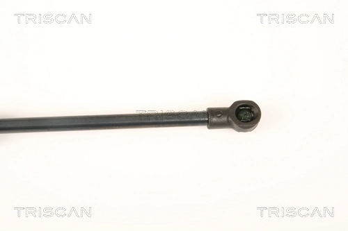 Amortecedor de tampa de porta-malas (de 3ª/5ª porta traseira) Triscan 871025249 preço, a partir de 14,59 USD
