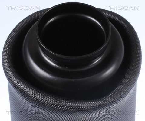Coxim pneumático (suspensão de lâminas pneumática) do eixo dianteiro 6013AB Magneti Marelli