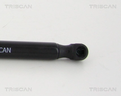871038239 Triscan