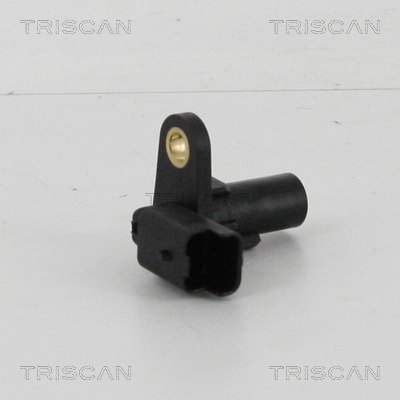 885510146 Triscan