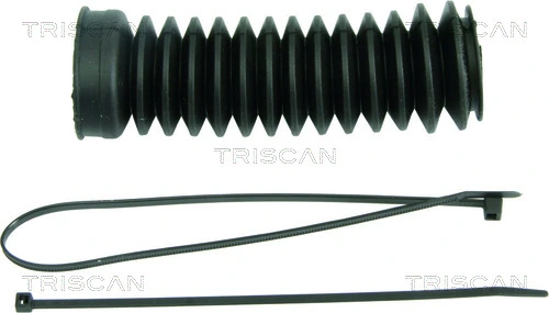 850029029 Triscan