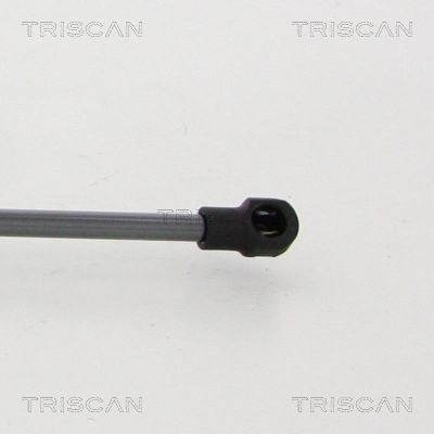 Amortecedor de tampa de porta-malas (de 3ª/5ª porta traseira) Triscan 871038248 preço, a partir de 21,94 USD