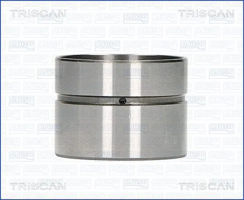 Compensador hidrâulico (empurrador hidrâulico), empurrador de válvulas para Seat Ibiza III 6L1
