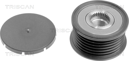 Polia do gerador para BMW 3  E46