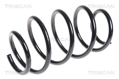 Mola dianteira para Nissan Qashqai +2 I J10
