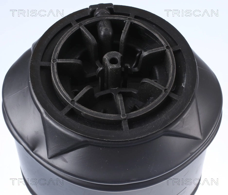 Compre F307512401 VAG Coxim pneumático (suspensão de lâminas pneumática) do eixo traseiro