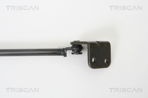 Amortecedor de tampa de porta-malas (de 3ª/5ª porta traseira) Hyundai Terracan  HP