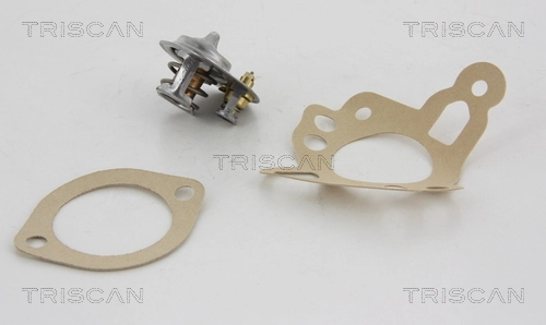 Termostato para Ford Fiesta Mk4 JAS, JBS