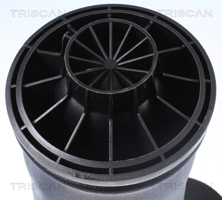 Compre REC34AS0026 Amity AP Coxim pneumático (suspensão de lâminas pneumática) do eixo traseiro