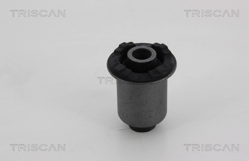 Bloco silencioso dianteiro do braço oscilante inferior Nissan Cabstar NT400 F24M