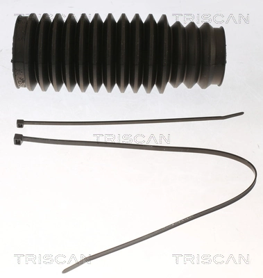 850011014 Triscan