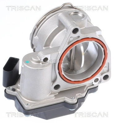 Válvula de borboleta montada Seat Toledo III 5P2