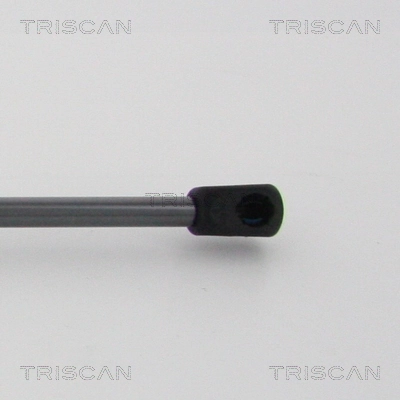 Amortecedor de tampa de porta-malas (de 3ª/5ª porta traseira) 13258179 Peugeot/Citroen