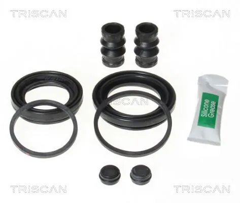 8170204860 Triscan