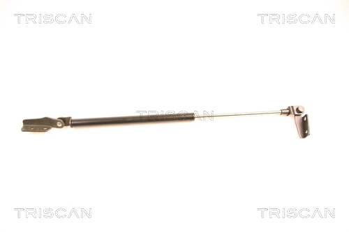 871014232 Triscan