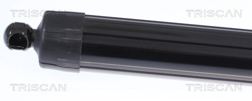 Compre AT11950 AT Autoteile Amortecedor de tampa de porta-malas (de 3ª/5ª porta traseira)