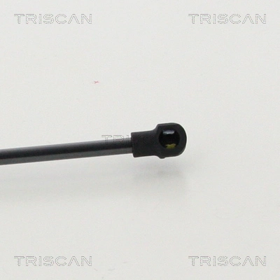 Amortecedor de tampa de porta-malas (de 3ª/5ª porta traseira) para Audi TT  FV9, FVR