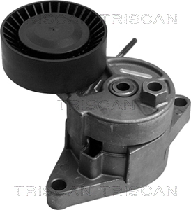  Reguladora de tensão da correia de transmissão BMW X5 SUV (E53) (2000 - 2006) 