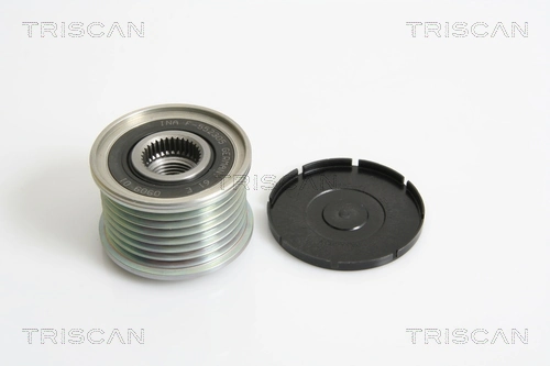  Polia do gerador Nissan X-Trail SUV (T31) (2007 - 2014) 