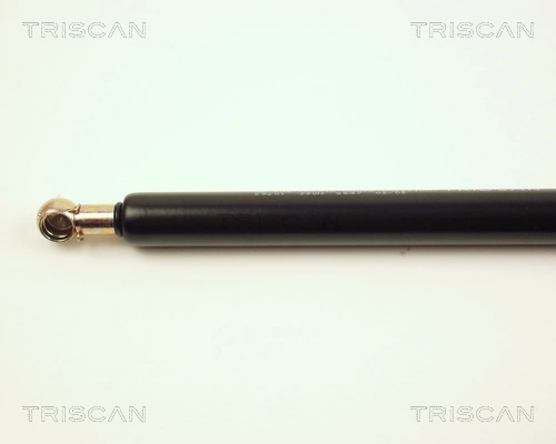 Amortecedor de tampa de porta-malas (de 3ª/5ª porta traseira) para Audi 100 C4 4A2