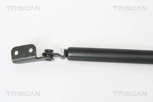 Amortecedor de tampa de porta-malas (de 3ª/5ª porta traseira) para Hyundai Terracan  HP