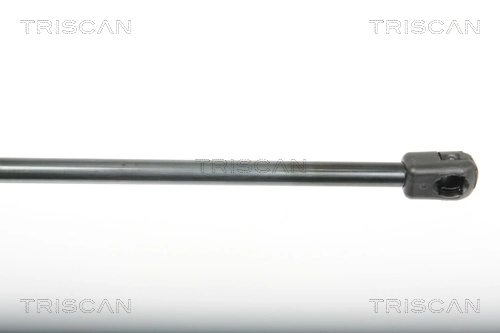 871025243 Triscan