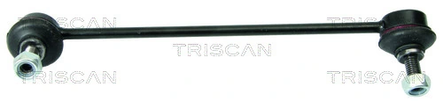 850025613 Triscan