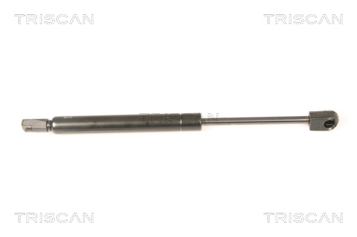 Compre Amortecedor de tampa de porta-malas (de 3ª/5ª porta traseira) Chrysler 300 