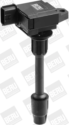 ZSE082 Beru