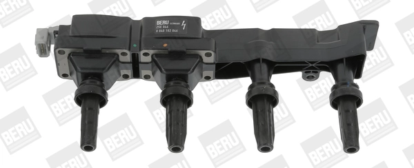ZSE046 Beru