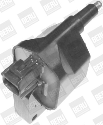 ZS396 Beru
