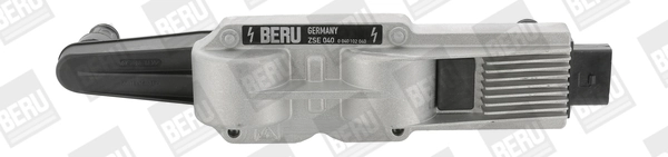 ZSE040 Beru