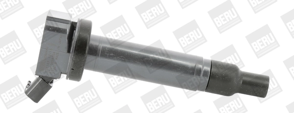 ZSE187 Beru