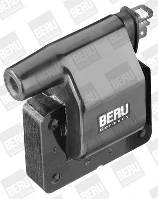 ZS274 Beru