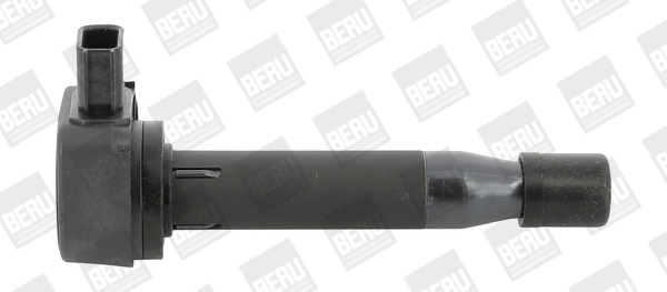 ZSE183 Beru