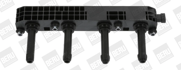 ZS508 Beru