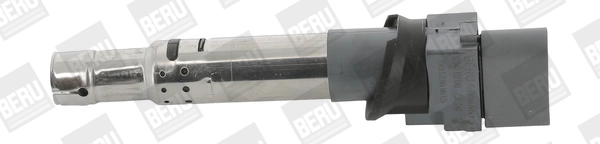 ZSE041 Beru