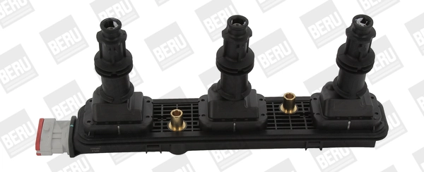 ZSE153 Beru