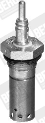 GH306 Beru Vela de incandescência