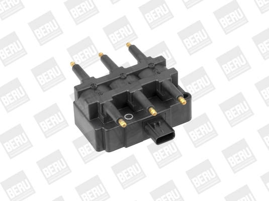 ZS455 Beru