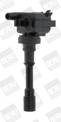 ZSE178 Beru