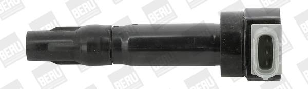 ZS547 Beru