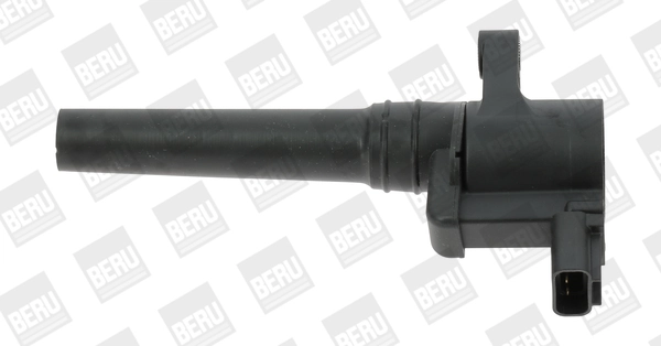 ZS388 Beru