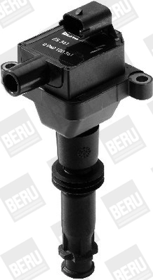 Compre ZS361 Beru Bobina de ignição