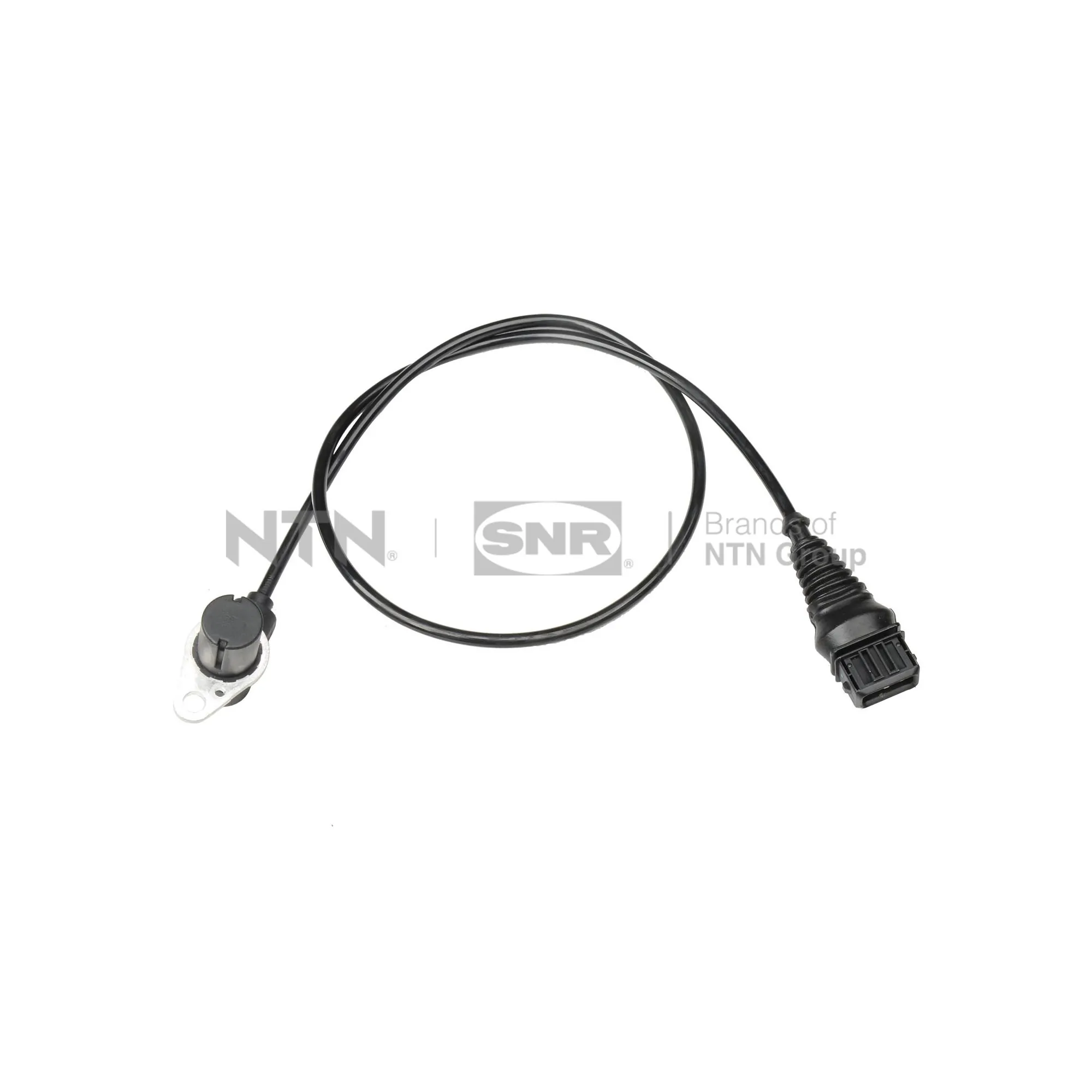  BMW 5  desde 24,35 €