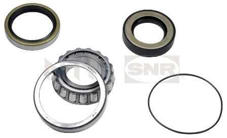 R17307 SNR