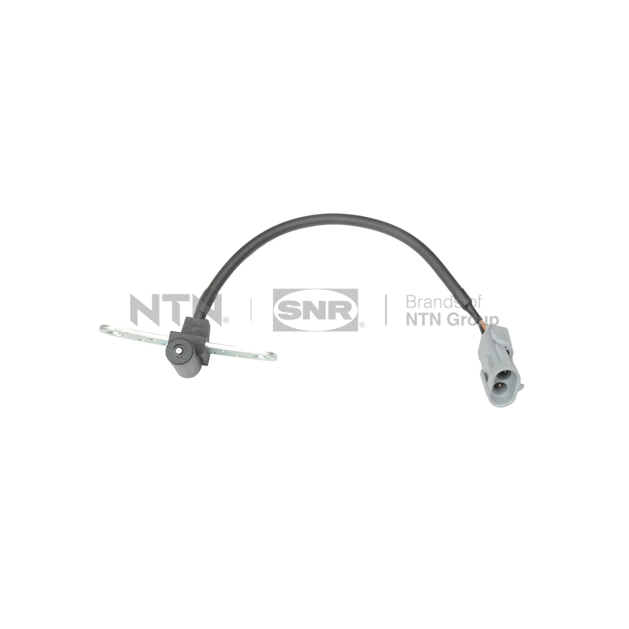 CKP15502 SNR