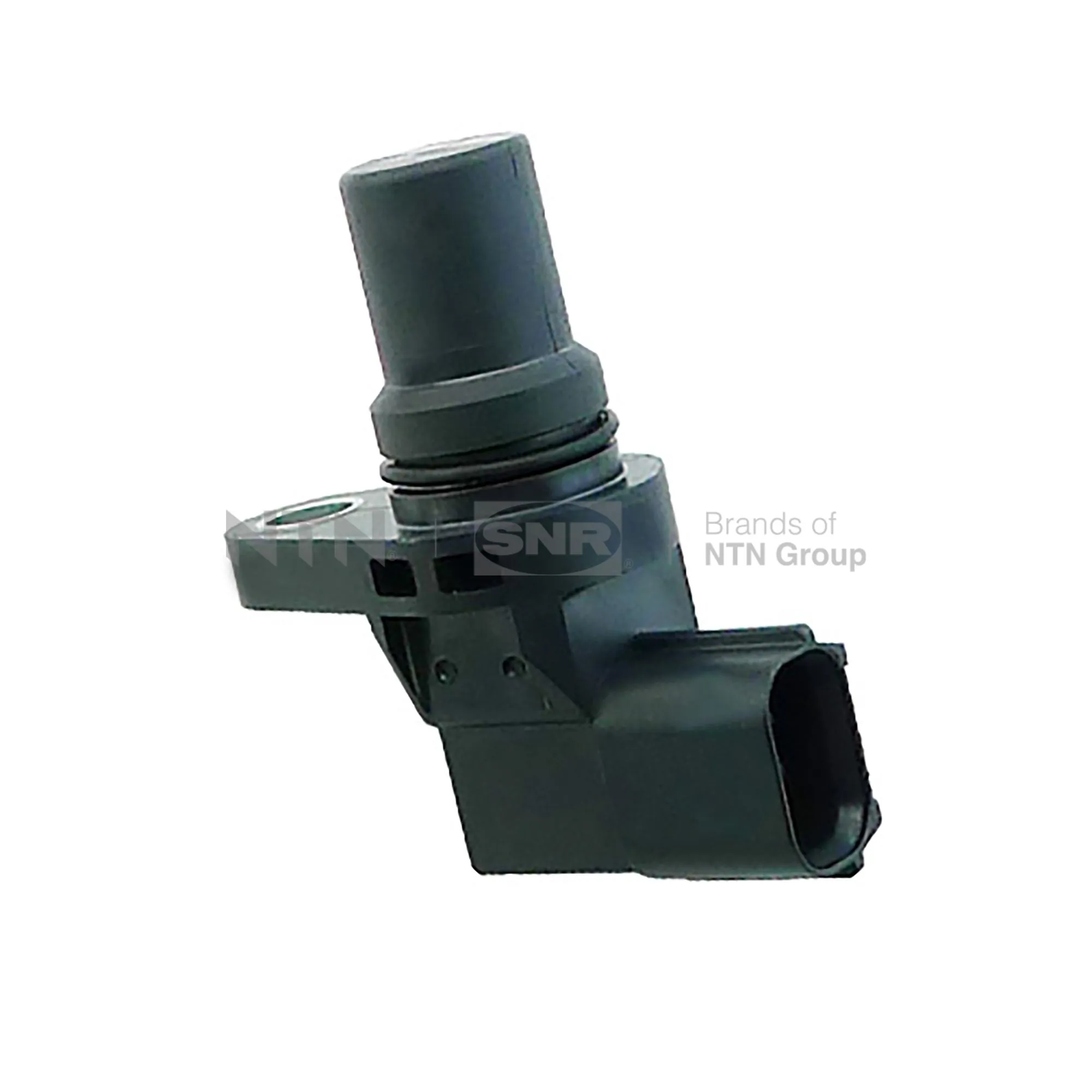 CMP17005 SNR
