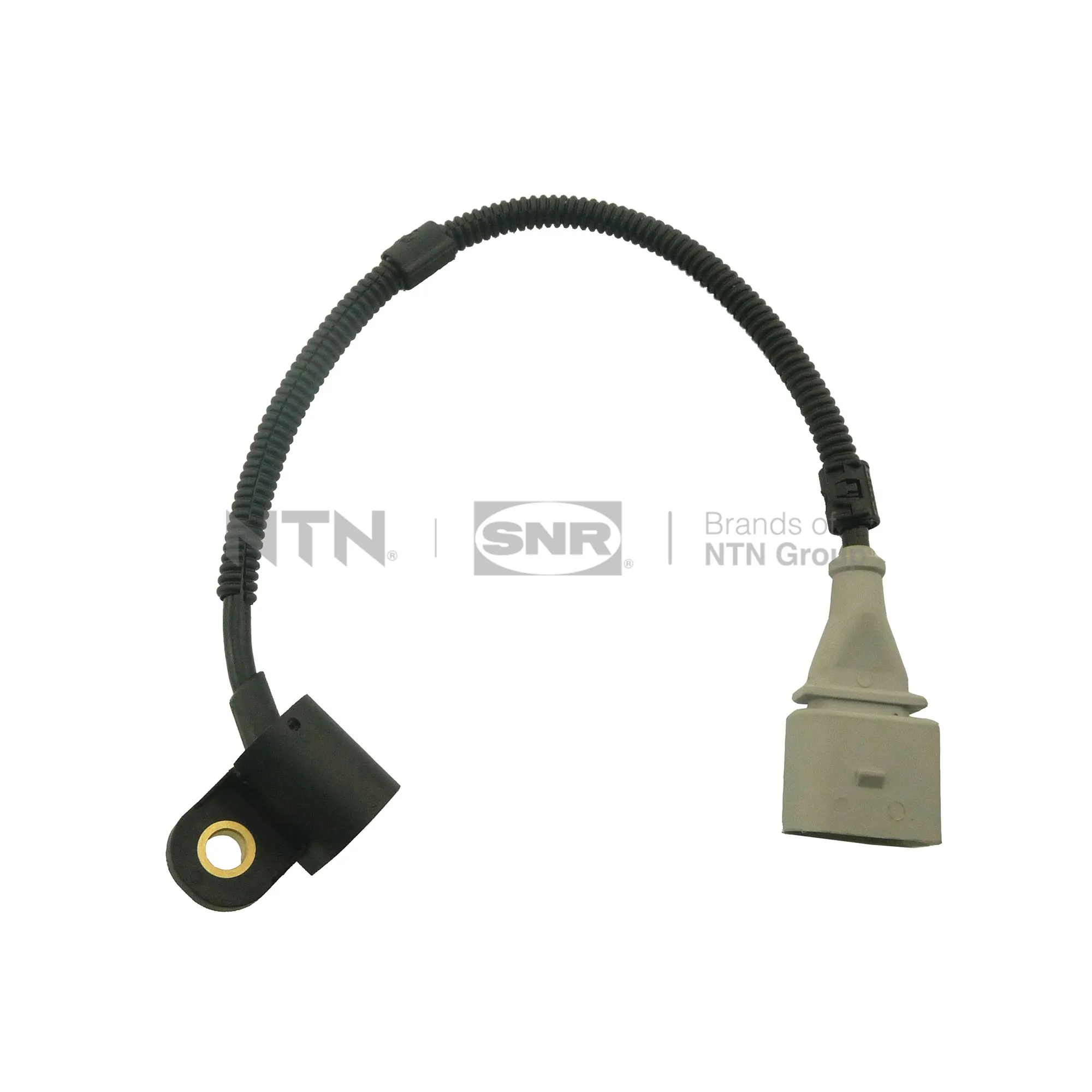 CMP17301 SNR