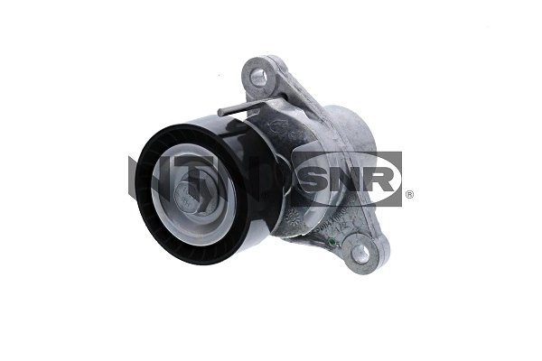 Compre 1613255380 Peugeot/Citroen Reguladora de tensão da correia de transmissão